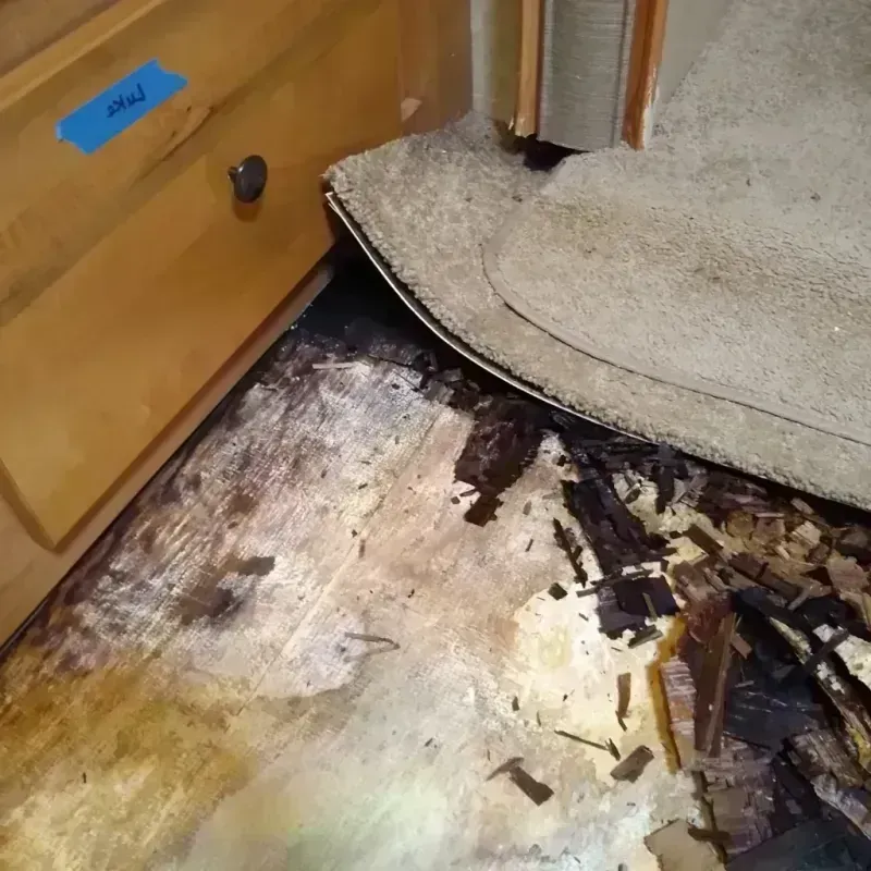 Wood Floor Water Damage in Clark County, MO